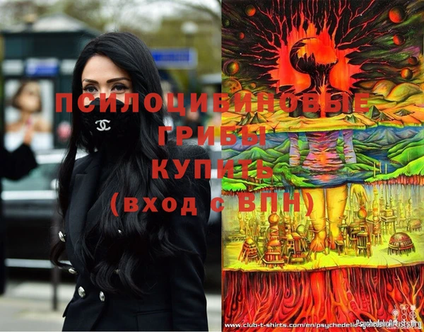 ПСИЛОЦИБИНОВЫЕ ГРИБЫ Армянск