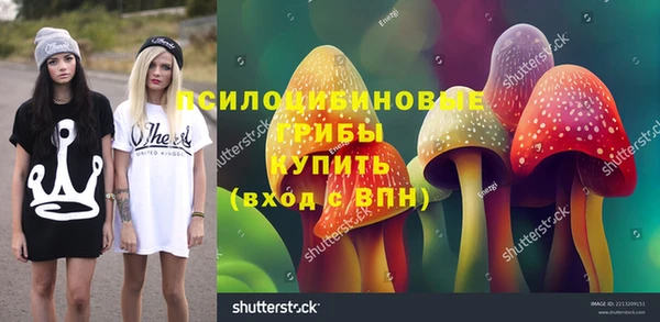 ПСИЛОЦИБИНОВЫЕ ГРИБЫ Армянск